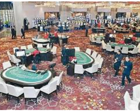 金年(金字招牌)诚信至上免费版